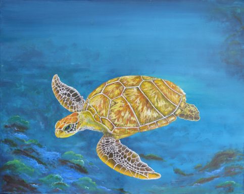 Turning Sea Turtle.
