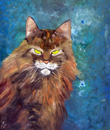 The Man in Charge Cat, feline, animal